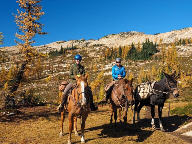 wstc_horseback